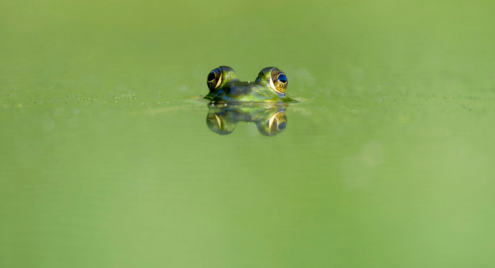 BeBiodiversity Qui sommes-nous ?