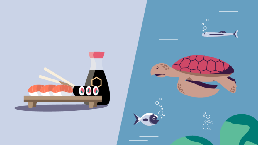 BeBiodiversity sushi and a turtle