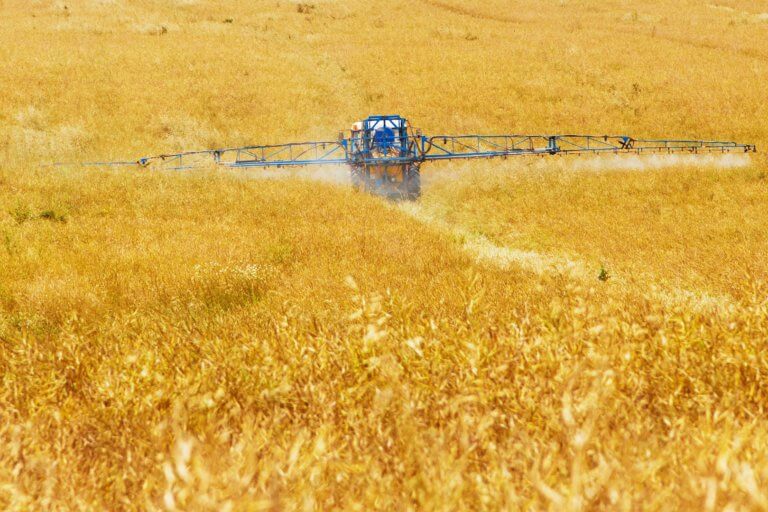 BeBiodiversity Les pesticides : des évolutions timides