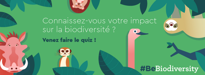 BeBiodiversity Phacochère, hérisson ou suricate, quel consommateur êtes-vous ?