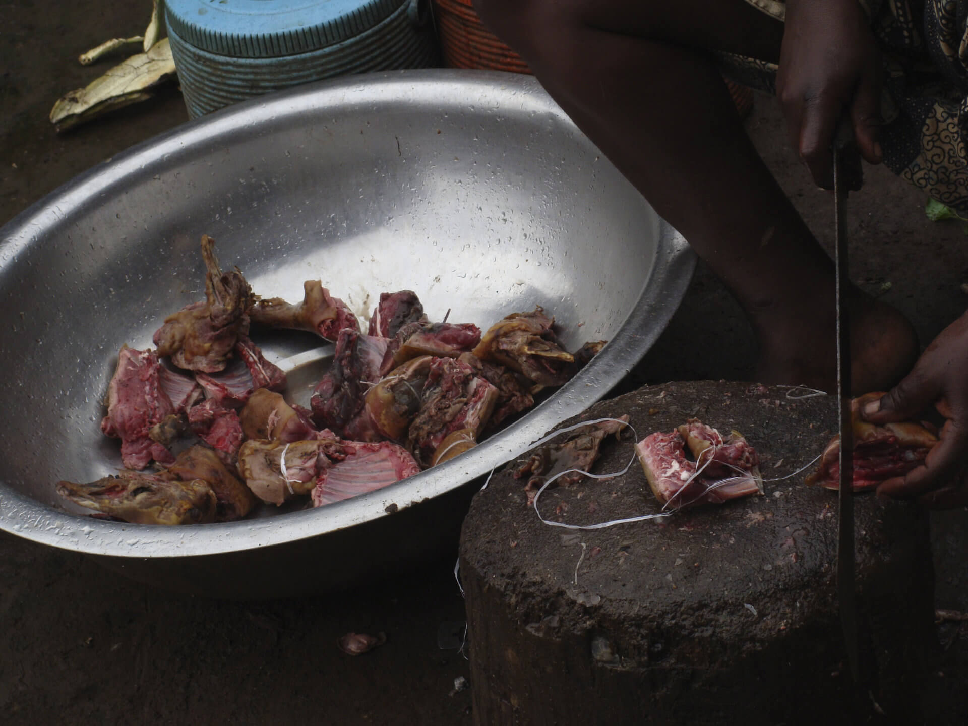 BeBiodiversity Bushmeat op het menu?