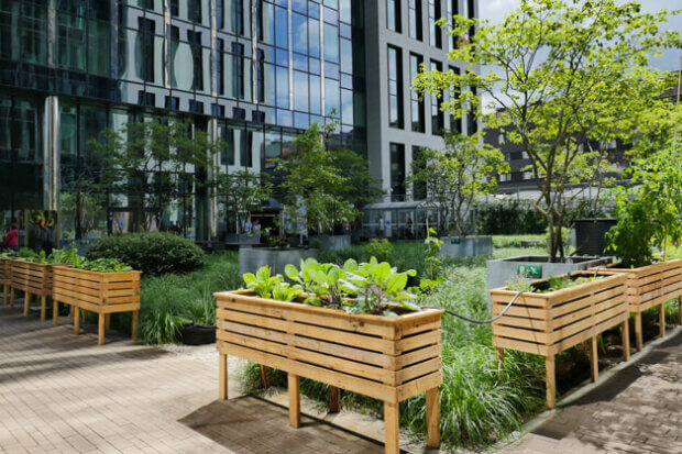 BeBiodiversity Régie des bâtiments : revégétaliser les espaces