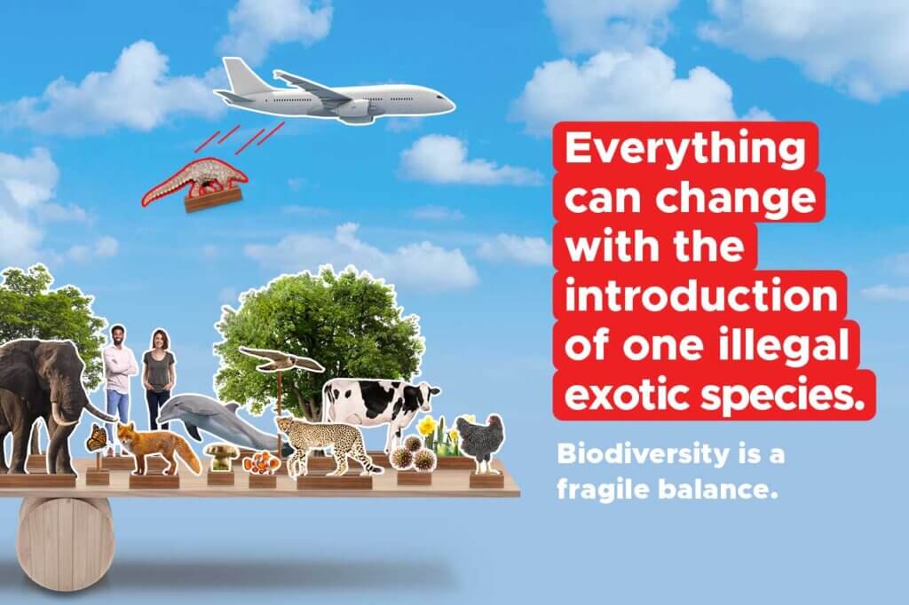BeBiodiversity Everything can change with the introduction of one illegal exotic species!