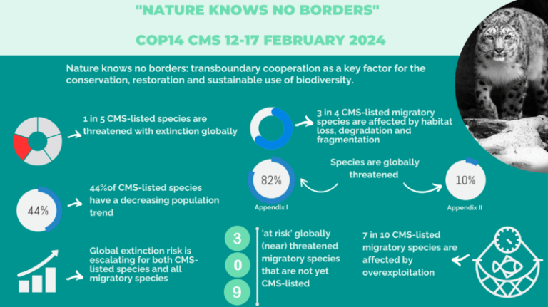 BeBiodiversity The EU’s ambitions in Samarkand op de COP14 CMS