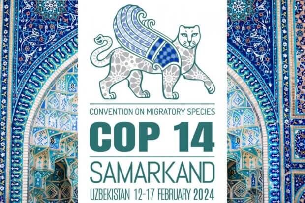 BeBiodiversity Les ambitions de l’UE à Samarkand à la COP14 CMS