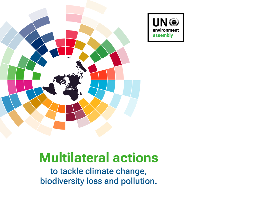 BeBiodiversity VN en EU-voorzitterschap hebben dezelfde prioriteiten op UNEA-6