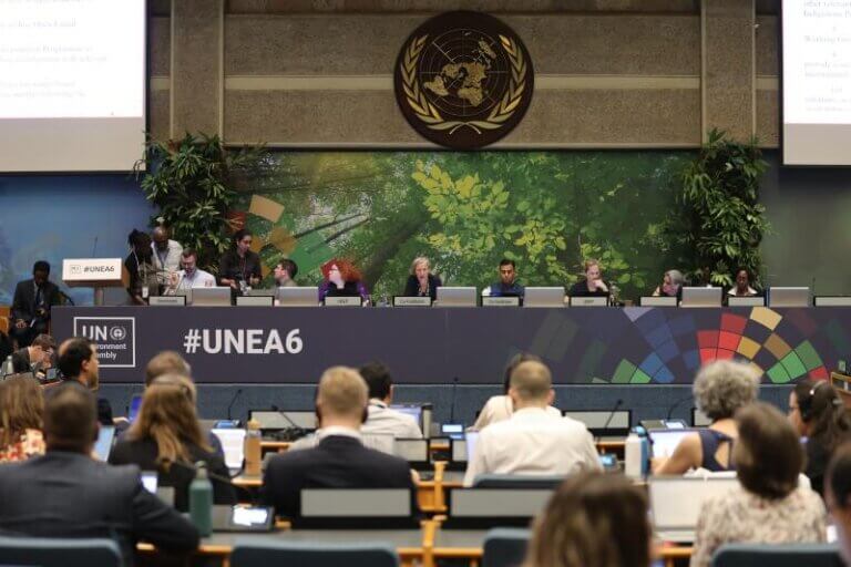 BeBiodiversity UN and EU presidency share the same priorities at UNEA-6