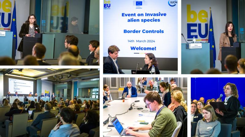 BeBiodiversity Enhancing collaboration at European Union borders