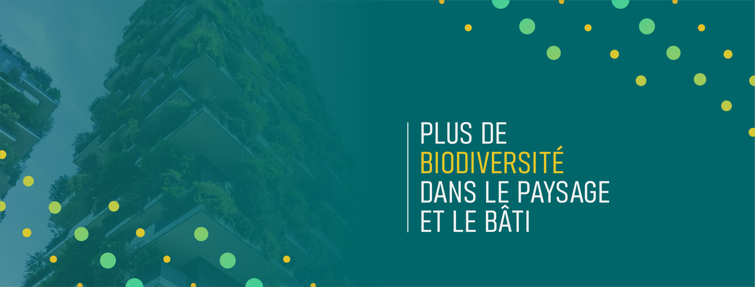 BeBiodiversity 4895Sensibiliser pour un avenir durable : retour sur les sessions BiodiversiScape avec la Régie des Bâtiments