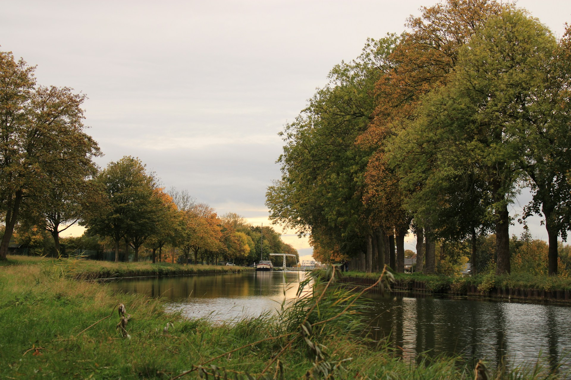BeBiodiversity 5522België keurt zijn Nationale Biodiversiteitsstrategie goed