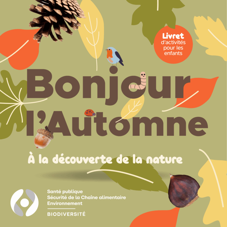 BeBiodiversity « Bonjour l&rsquo;automne » : 10 activités nature pour les enfants