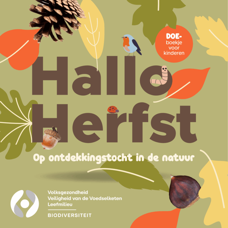 BeBiodiversity ‘Hallo Herfst’, met tien natuuractiviteiten op kindermaat